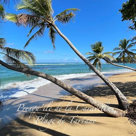 Les Bungalows De La Plage 拉特里尼泰 外观 照片