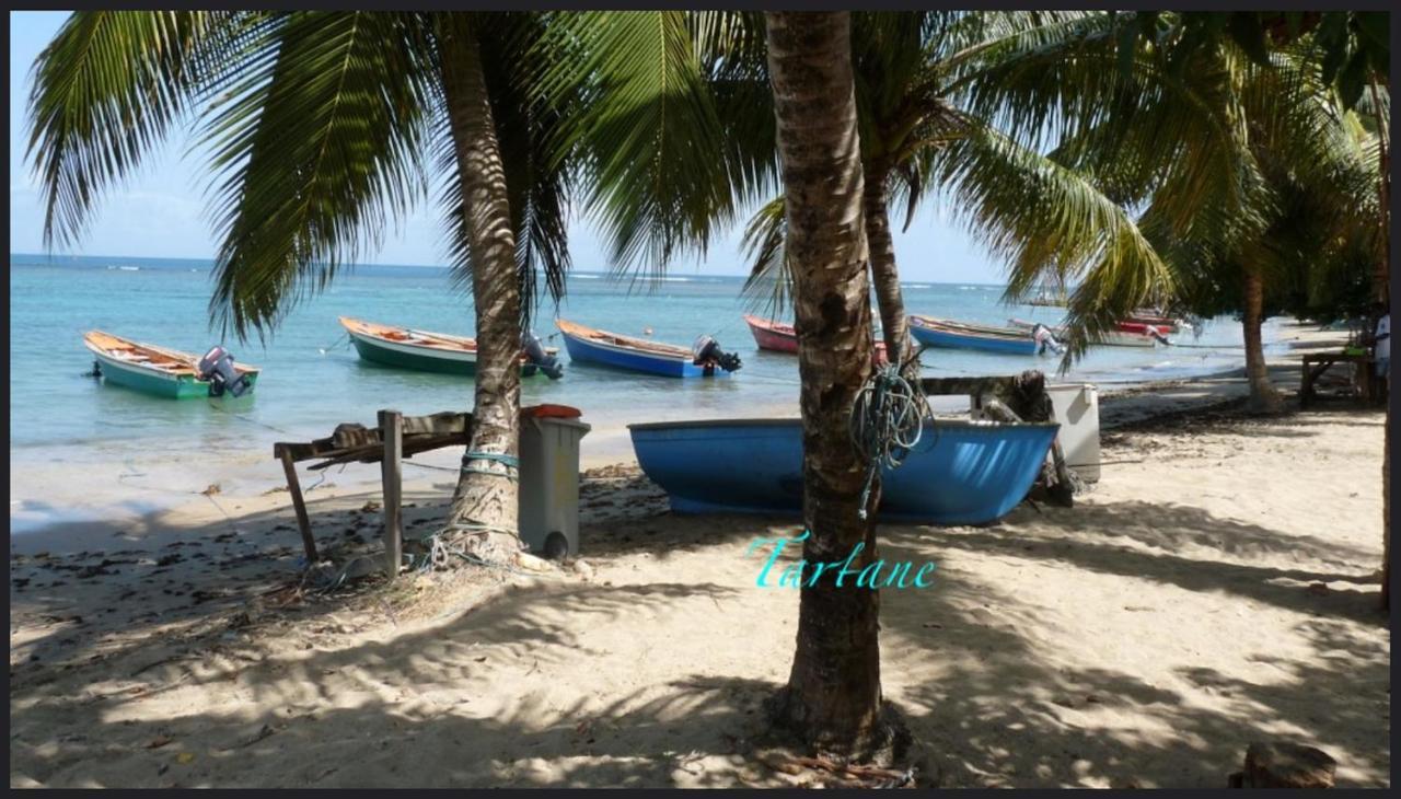 Les Bungalows De La Plage 拉特里尼泰 外观 照片