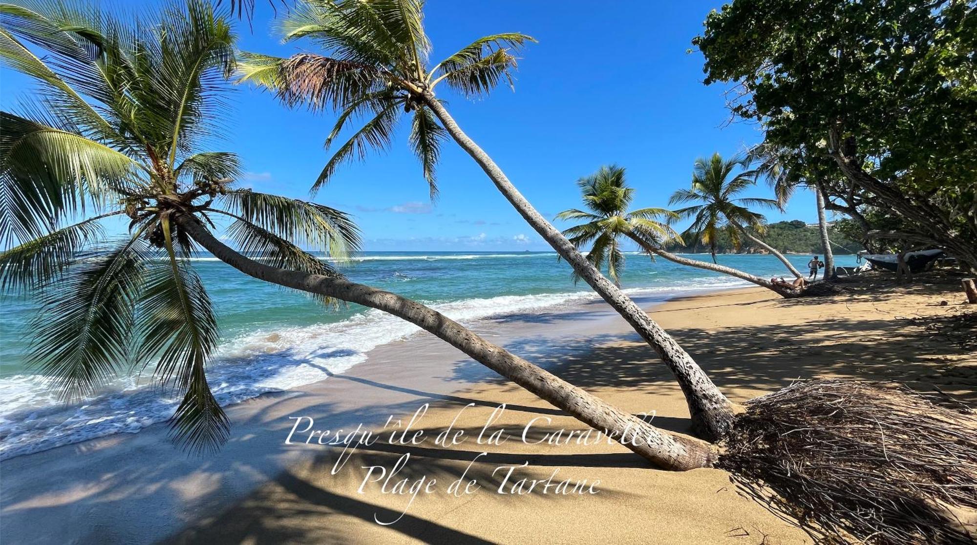 Les Bungalows De La Plage 拉特里尼泰 外观 照片