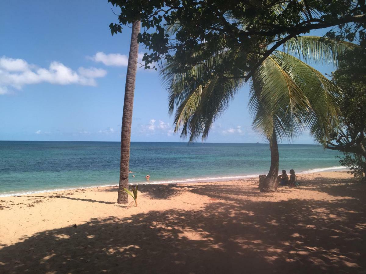 Les Bungalows De La Plage 拉特里尼泰 外观 照片